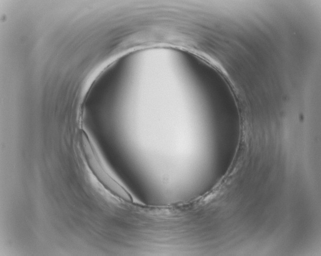 X0000052941524200507221134