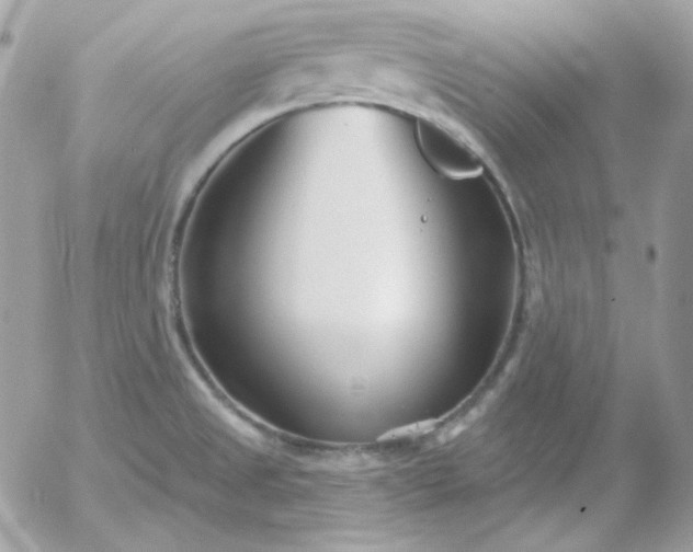 X0000052941525200507221134