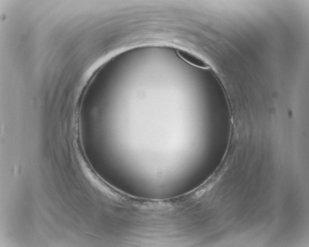 X0000052941526200507221134