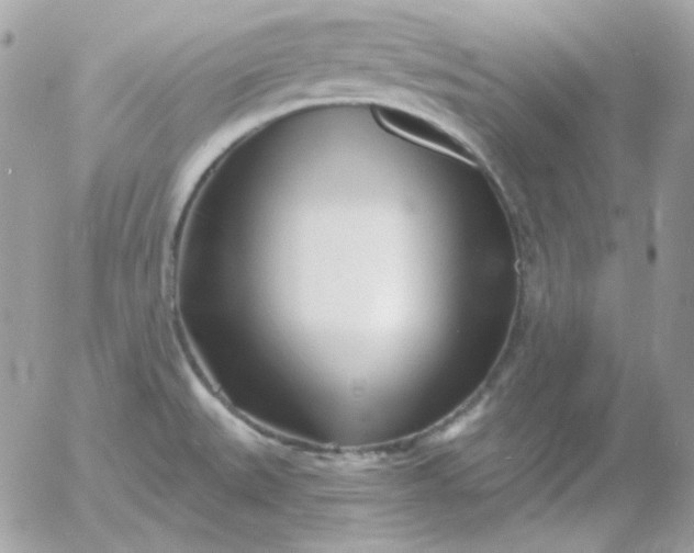 X0000052941527200507221134