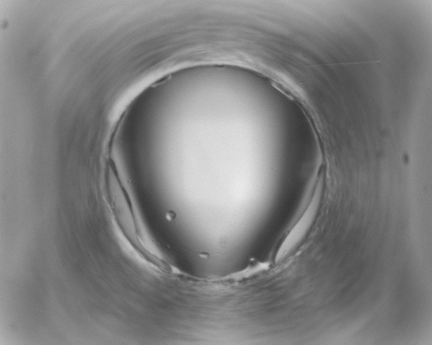 X0000052941528200507221134