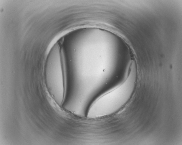 X0000052941530200507221134