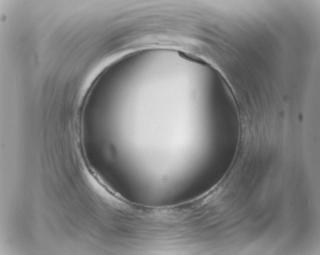 X0000052941531200507221134