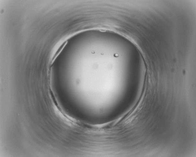 X0000052941532200507221134