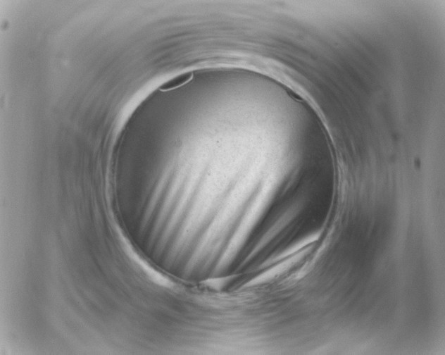 X0000052941533200507221134