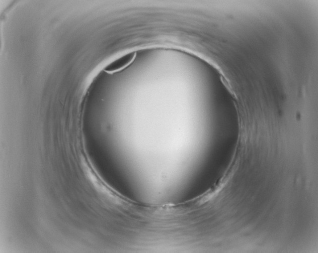 X0000052941534200507221134