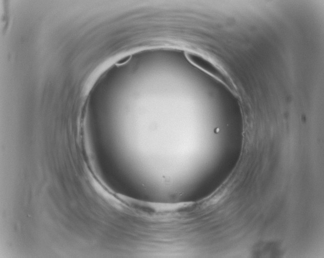 X0000052941535200507221134