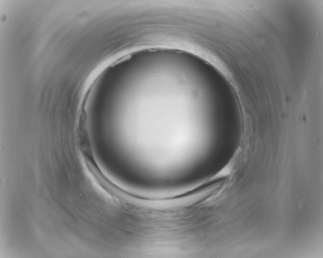 X0000052941536200507221134