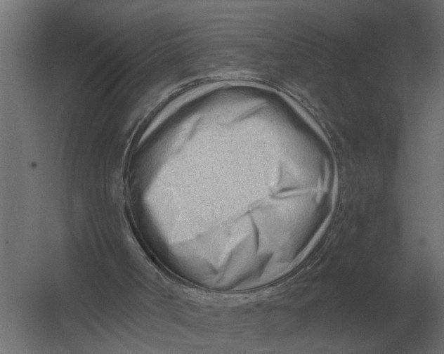 X0000052940002200507300030