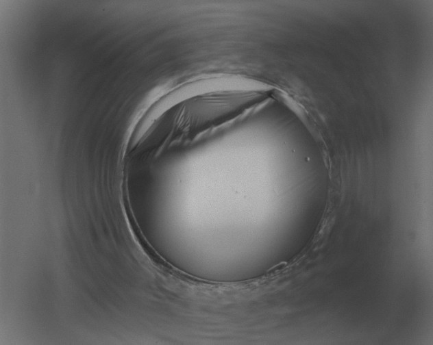 X0000052940003200507300030