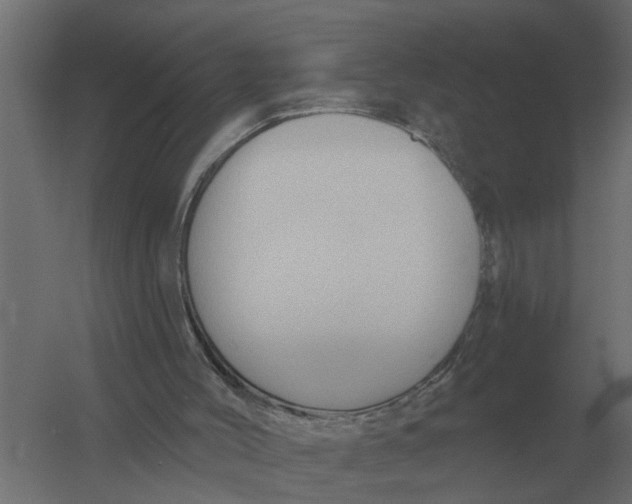 X0000052940004200507300030