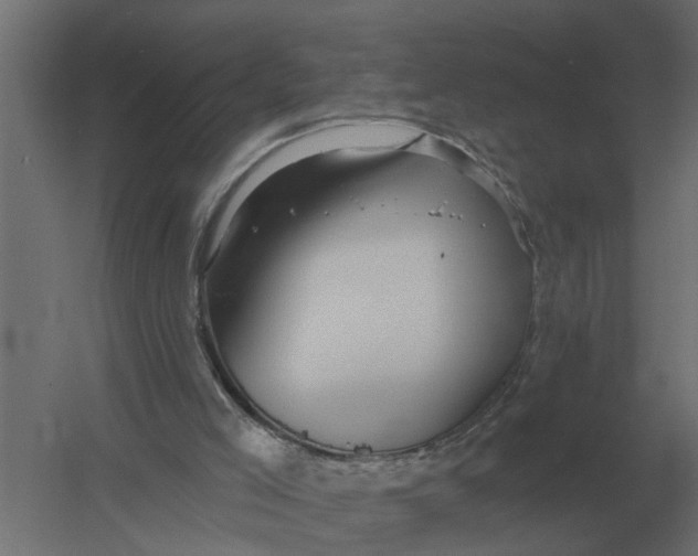 X0000052940005200507300030