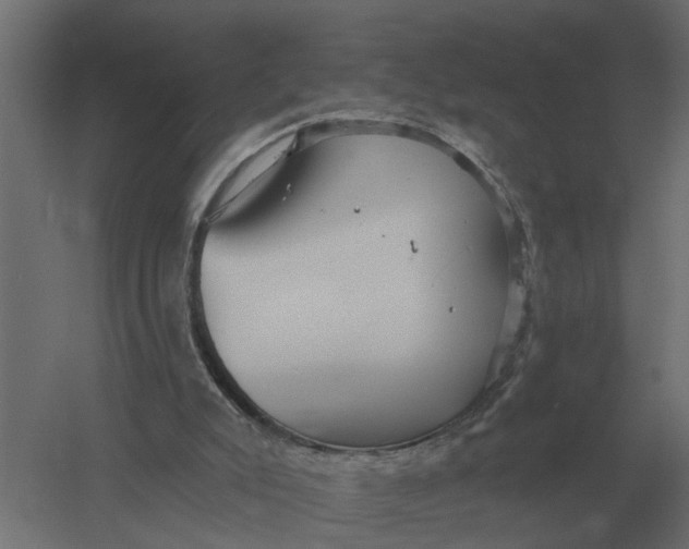 X0000052940007200507300030