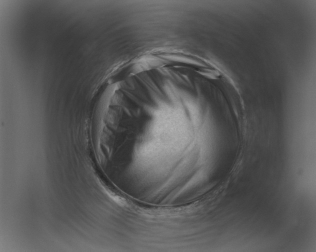 X0000052940009200507300030