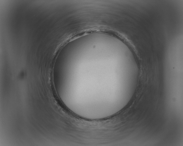 X0000052940010200507300030