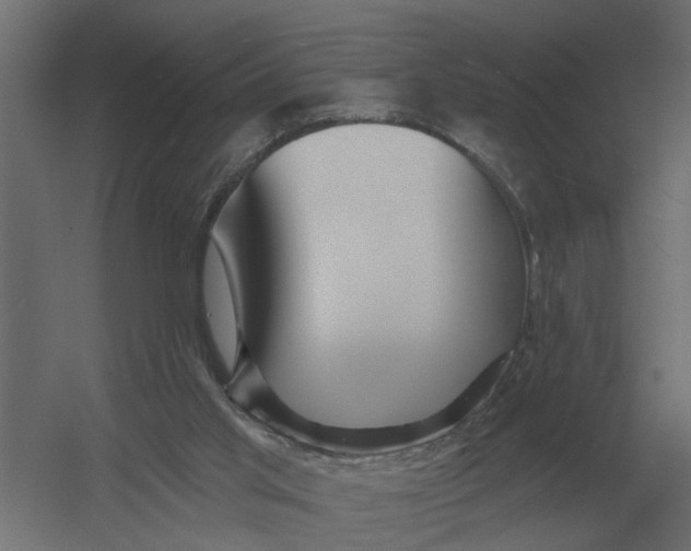 X0000052940013200507300030