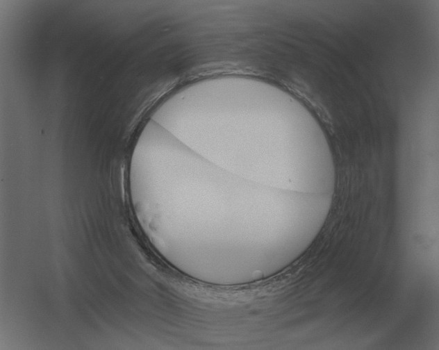 X0000052940014200507300030