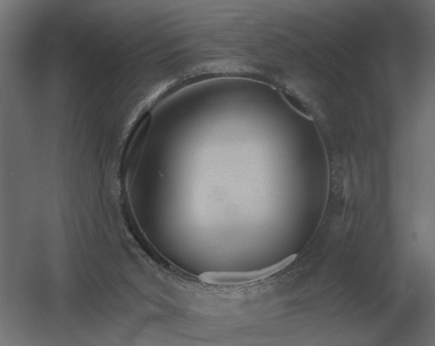 X0000052940015200507300030