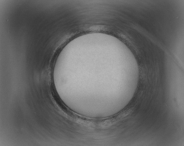 X0000052940016200507300030