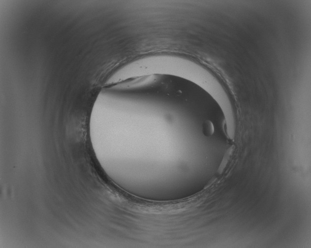 X0000052940017200507300030