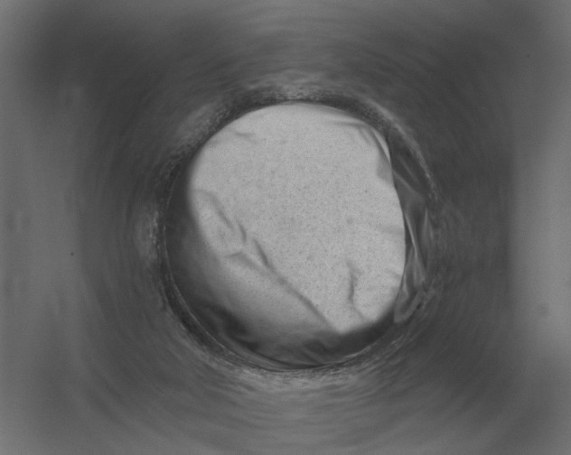 X0000052940018200507300030