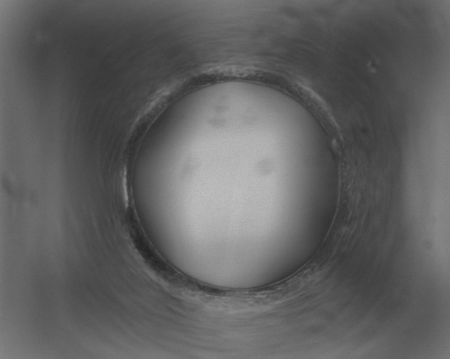 X0000052940020200507300030