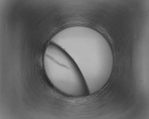 X0000052940021200507300030