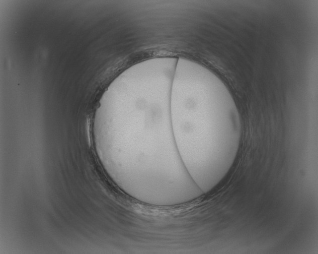 X0000052940022200507300030