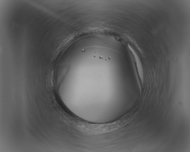 X0000052940023200507300030