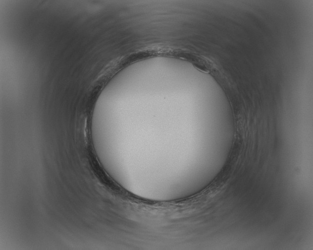 X0000052940024200507300030