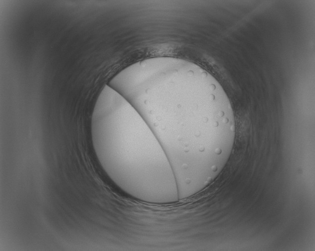 X0000052940026200507300030