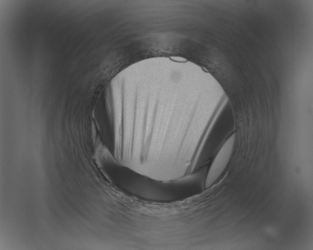 X0000052940029200507300030