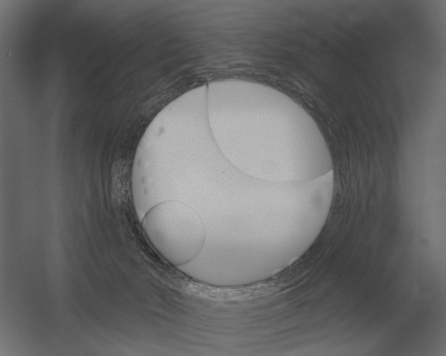 X0000052940030200507300030