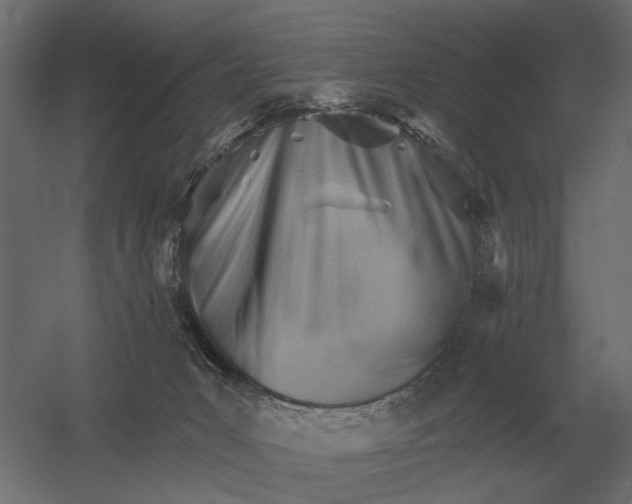 X0000052940031200507300030