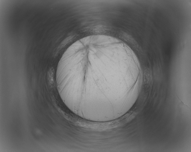 X0000052940032200507300030