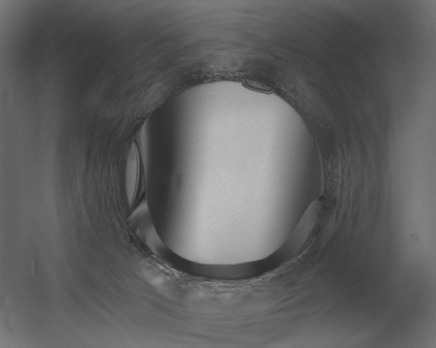 X0000052940033200507300030