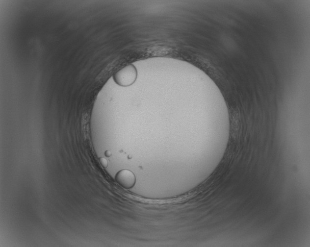 X0000052940034200507300030