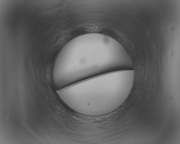 X0000052940035200507300030