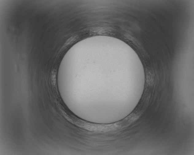 X0000052940036200507300030