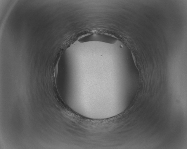 X0000052940037200507300030