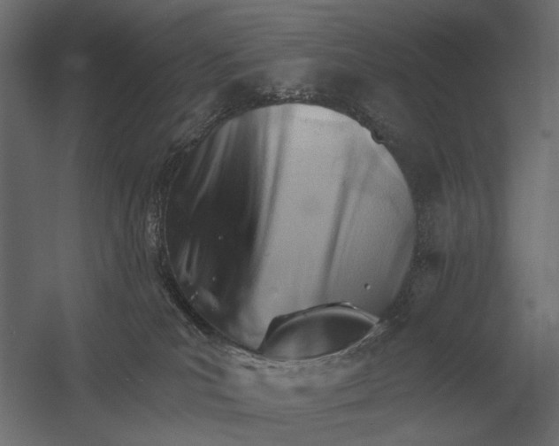 X0000052940039200507300030