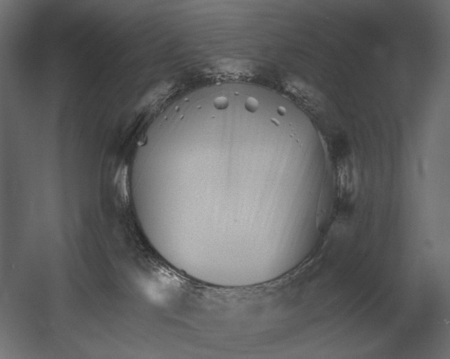 X0000052940041200507300030