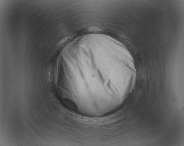 X0000052940043200507300030