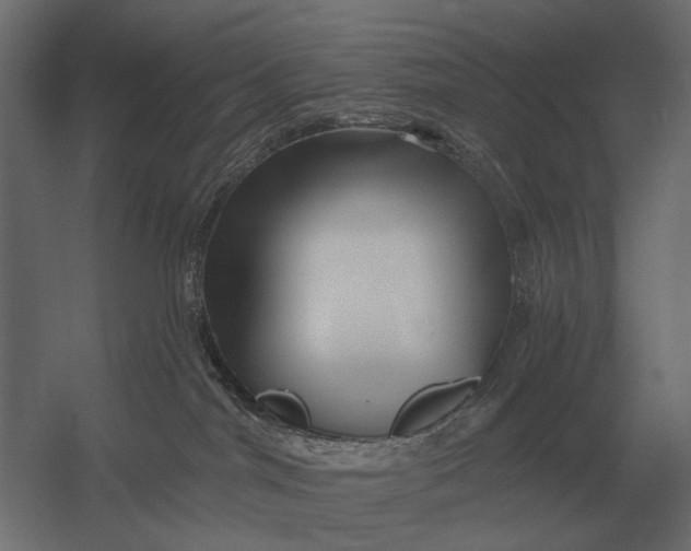 X0000052940044200507300030