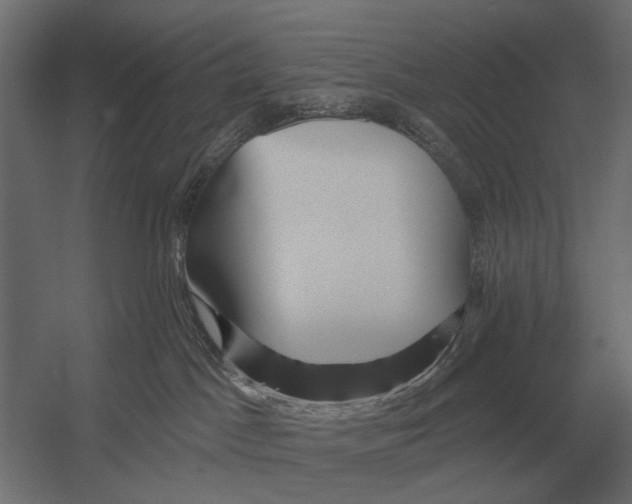 X0000052940045200507300030