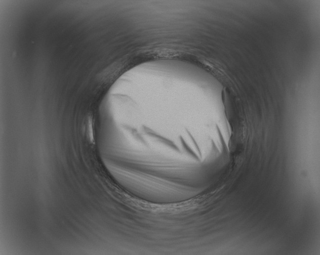 X0000052940046200507300030