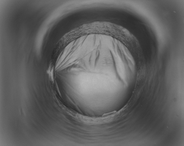 X0000052940047200507300030