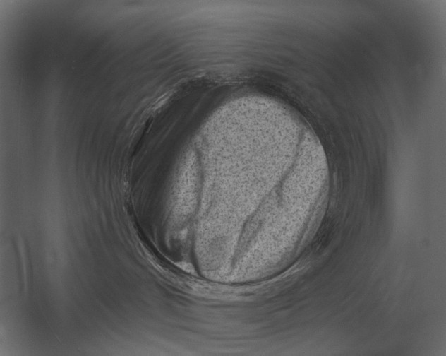 X0000052940048200507300030