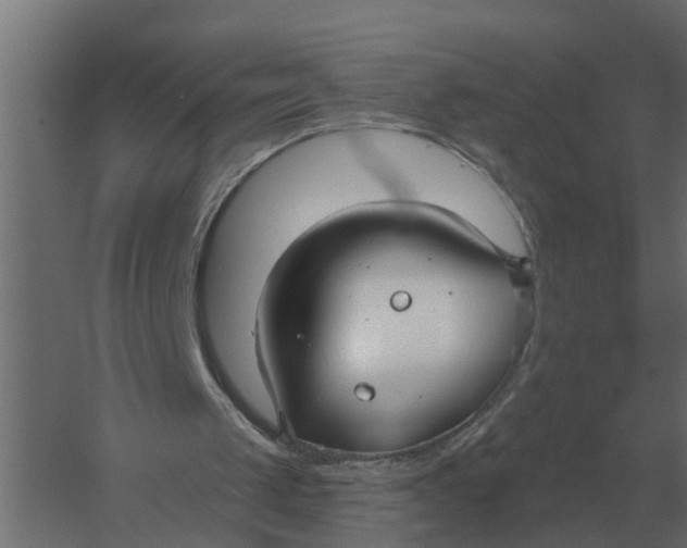 X0000052940049200507300029