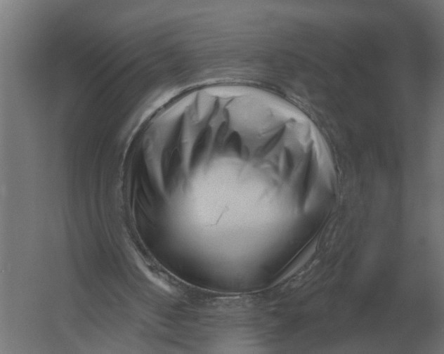 X0000052940050200507300029